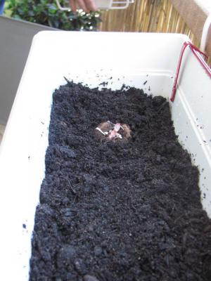 photo78.jpg