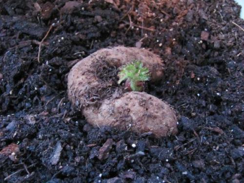 photo79.jpg