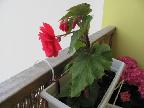 photo83.jpg
