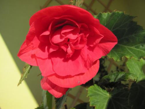 photo84.jpg