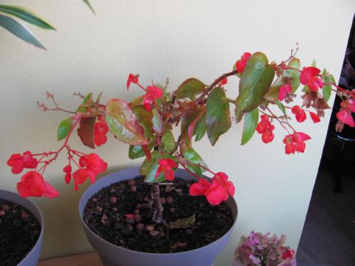 photo85.jpg